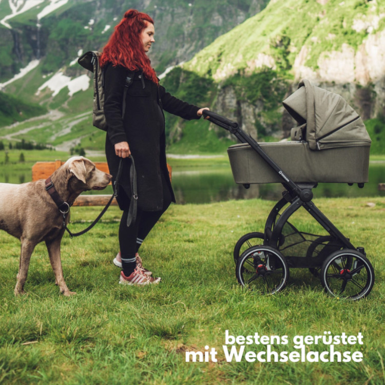 Wechselachse mit Rädern von Gesslein